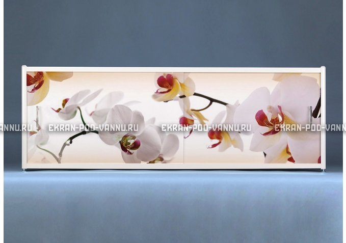 Раздвижной ФОТО экран - Orchid – купить по цене 8500 руб. в интернет-магазине в городе Саратов картинка 1