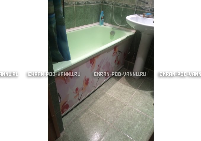 Раздвижной ФОТО экран - Orchid – купить по цене 8500 руб. в интернет-магазине в городе Саратов картинка 5