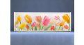 Раздвижной ФОТО экран - Тюльпаны – купить по цене 8500 руб. в интернет-магазине в городе Саратов картинка 8