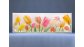 Раздвижной ФОТО экран - Тюльпаны – купить по цене 8500 руб. в интернет-магазине в городе Саратов картинка 3
